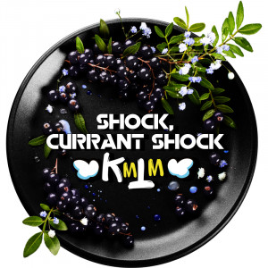 Табак для кальяна Black Burn - Shock, Currant Shock (Кислая Черная Смородина) 200г