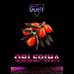 Табак для кальяна Duft - Oblepiha (Облепиха) 25г
