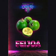 Табак для кальяна Duft - Feiijoa (Фейхоа) 20г
