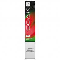 Электронная сигарета SOAK Pods S 3500 - Strawberry Kiwi (Клубника Киви)