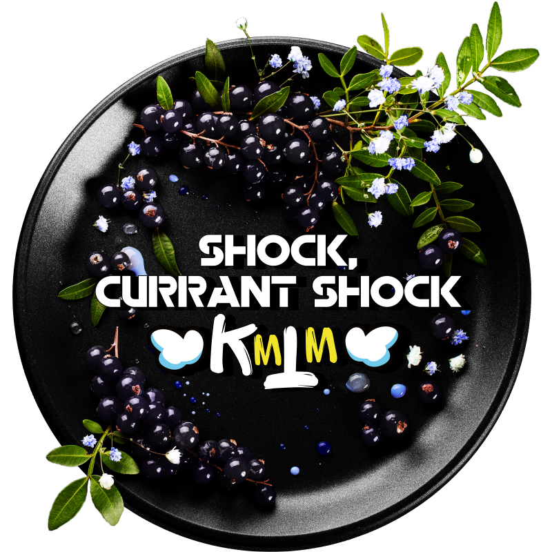 Табак для кальяна Black Burn - Currant Shock (Кислая Черная Смородина) 100г